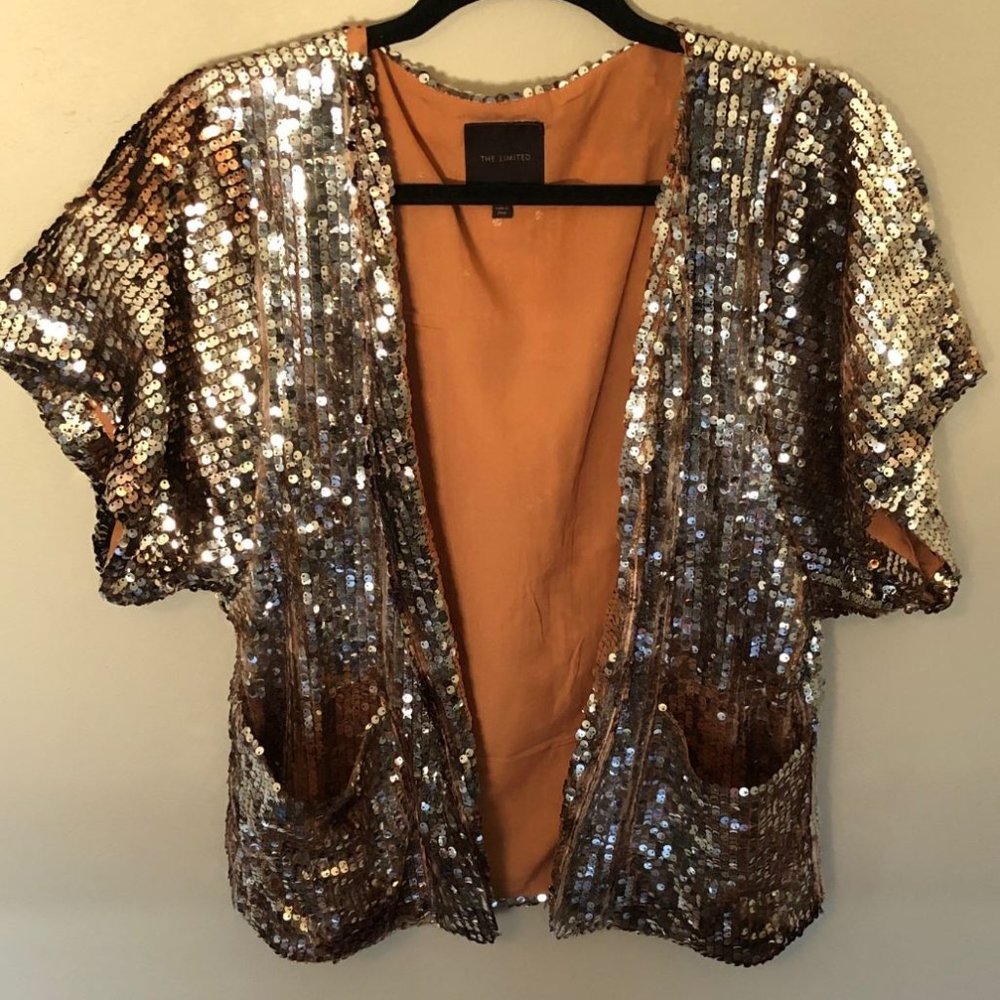Sequin Jacket - image 1